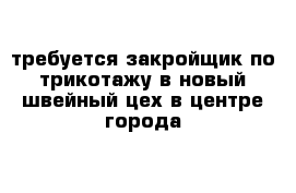 требуется закройщик по трикотажу в новый швейный цех в центре города